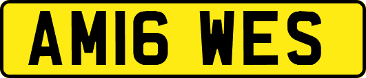AM16WES