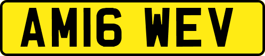 AM16WEV