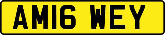 AM16WEY