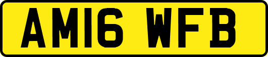 AM16WFB