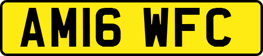 AM16WFC