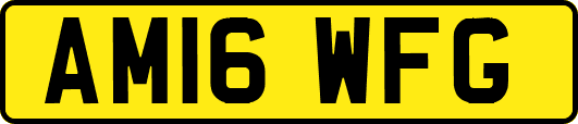 AM16WFG