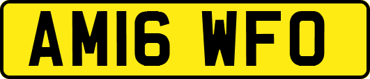 AM16WFO