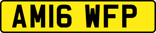 AM16WFP