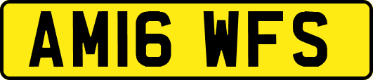 AM16WFS
