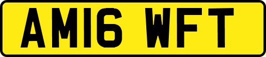AM16WFT