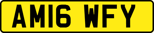 AM16WFY