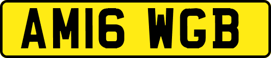 AM16WGB