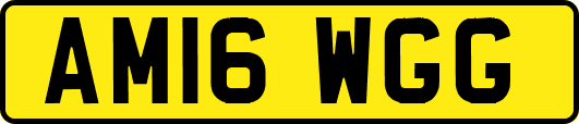 AM16WGG