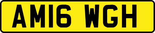 AM16WGH