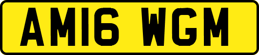 AM16WGM