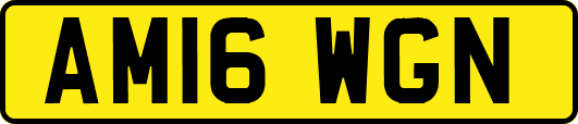 AM16WGN