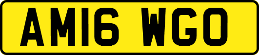 AM16WGO