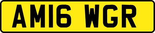 AM16WGR