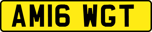 AM16WGT