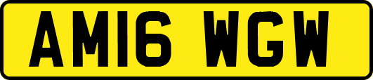 AM16WGW