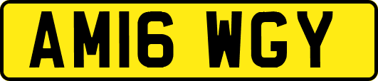 AM16WGY