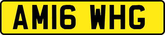 AM16WHG