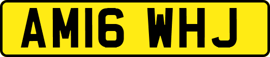 AM16WHJ
