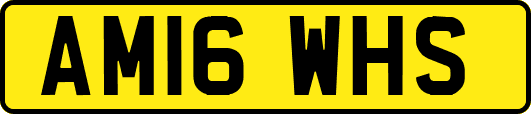 AM16WHS