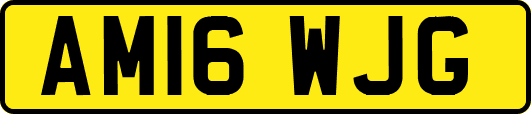 AM16WJG