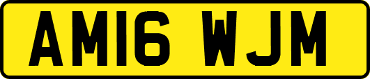 AM16WJM