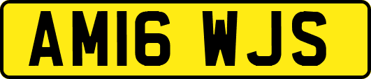 AM16WJS