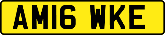 AM16WKE