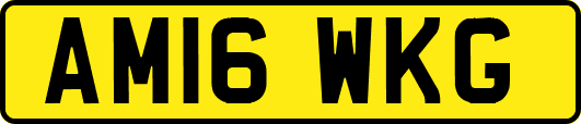 AM16WKG