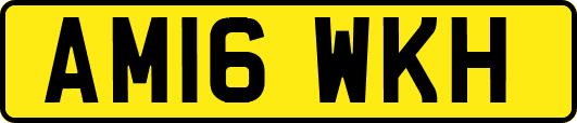 AM16WKH