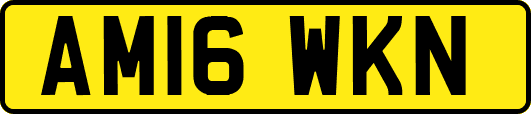 AM16WKN