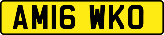 AM16WKO