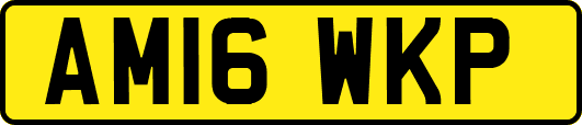 AM16WKP