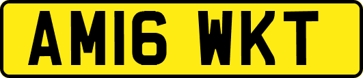AM16WKT