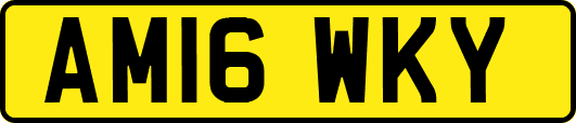AM16WKY