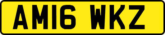 AM16WKZ
