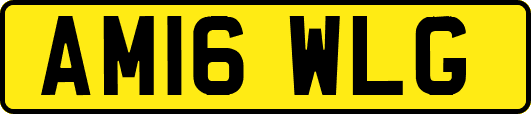 AM16WLG