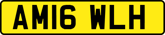 AM16WLH