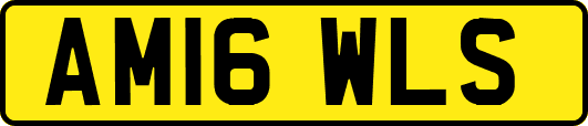 AM16WLS