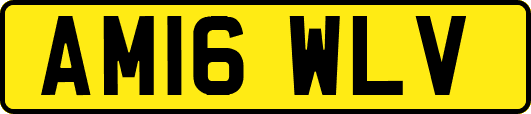 AM16WLV
