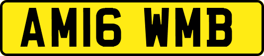 AM16WMB
