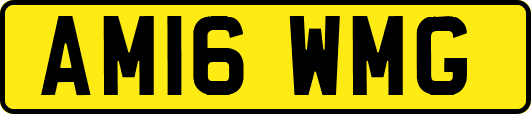 AM16WMG