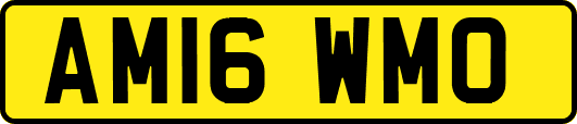 AM16WMO