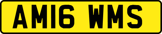 AM16WMS