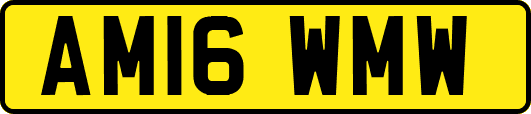 AM16WMW