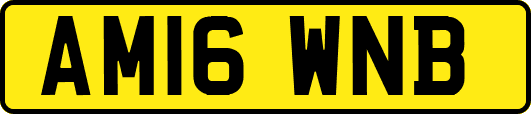 AM16WNB