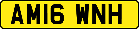 AM16WNH