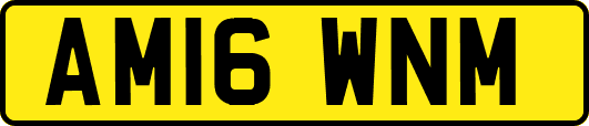 AM16WNM
