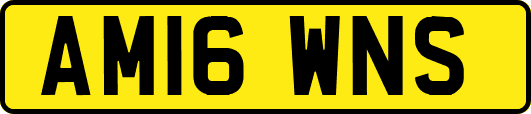 AM16WNS