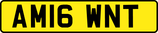 AM16WNT